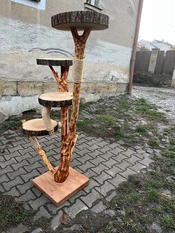Kočicí strom - 4