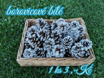 Borovicové šišky - 4