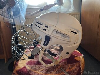 Helma Bauer re akt 75 - 4