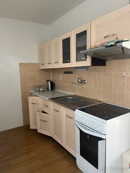 Pronájem - 4