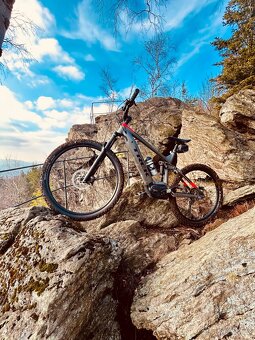 Horské elektrokolo TREK POWERFLY FS5 Mulet - 4