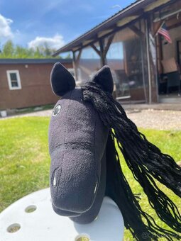 Hobby horse - 4