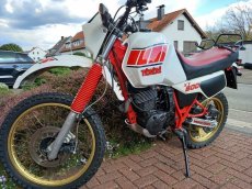 Yamaha XT 600 Tenere 1985 - 4