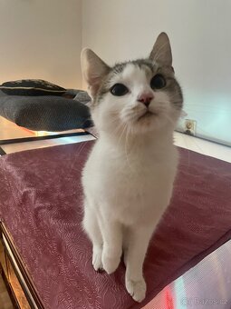 Daruji-rezervace - 4