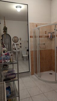 Pronájem bytu 3+kk 110m² v rodinném domě, dvě koupelny - 4