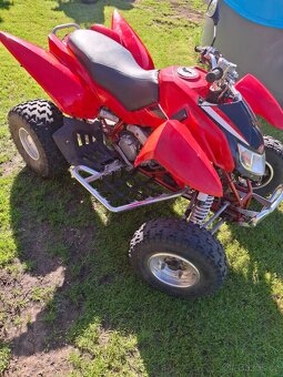 Access warrior 450 2009 - 4