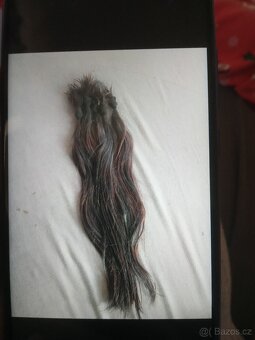 Lidské vlasy - 4