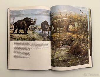 Kniha o pravěku - Zdeněk V. Špinar, ilustroval Zdeněk Burian - 4