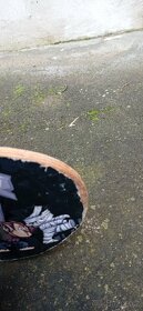 Dětský skateboard - 4