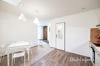 Pronájem bytu 1+kk, Mánesova, Vinohrady, 17900 Kč/měs, 63 m2 - 4