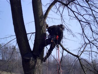 Kácení a ořezy stromů Vsetínsko - 4