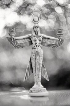 Servisovaný portrétní Leica Germany Summarex 85/1.5 LTM39 - 4