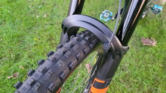 NS FUZZ 2024 downhill - 4