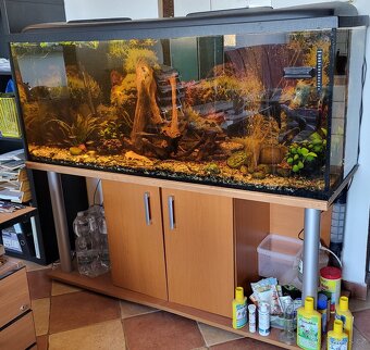 Prodám akvárium 450L se skříňkou i rybičkami - stěhování - 4