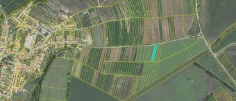 Prodej orné půdy v kú Měnín - 4