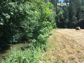 Prodej pozemek Louky, 6060㎡ - 4