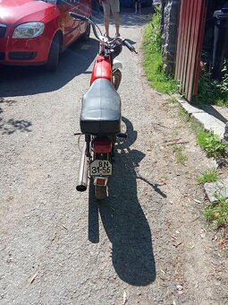 Prodám mustanga - 4