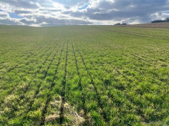 Fendt 936 Vario - garant Kotte 25m3 - 4