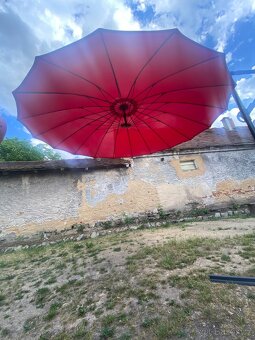 Slunečnik - 4