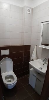 Pronájem bytu 3+kk Klobouky u Brna - 4