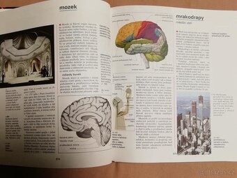 Savci -encyklopedie školáka + Encyklopedie pro mládež - 4