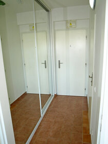 Pěkný byt 1+kk, 30 m2, Kloboučnická, Praha 4 Nusle - 4