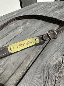 Luxusní nová ohlávka Kentucky - 4