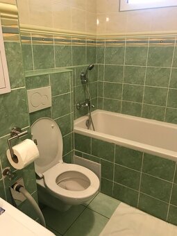 Pronájem bytu 3+kk, Červená Voda - 4