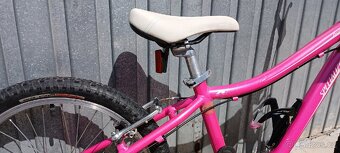 Specialized Hotrock 20" - 4