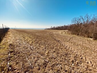 Prodej pozemky - zahrady, 7 000 m² - Dobšice, ev.č. 01717 - 4