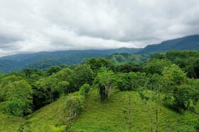 Farmy Kostarika Rio Claro - 4