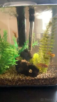 Akvárium biorb 30litru - 4