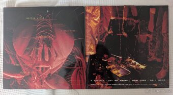 Alice in Chains - Jar Of Flies / Sap Lp - 4