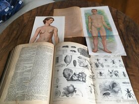 Starodavna kniha -lexikon - 4