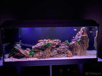 Akvarium s tlamovci a prislusenstvim - 4