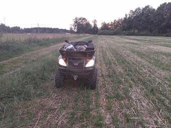 Goes 450 iron - 4