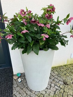 Betonový květináč NOVÝ - 4