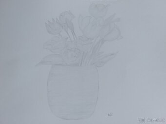 Obrázky obrazy kresby kreslení - 4