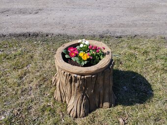 Pařez-květináč - 4