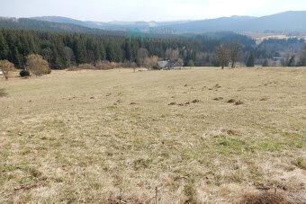 Prodej, pozemek 21 860 m², Křižánky - České Křižánky - 4
