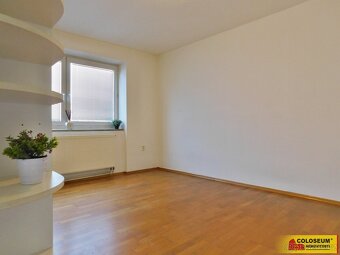 Hustopeče, byt OV 2+1, výhled do zeleně, krbová kamna, po re - 4