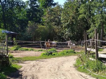 Venkovní ustájení Praha 4 - 4