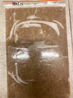 Artemie, discus mix, koretra, dafnie, mysis, hovězí srdce, - 4