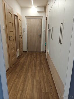 Pronájem bytu 3+1 - 4