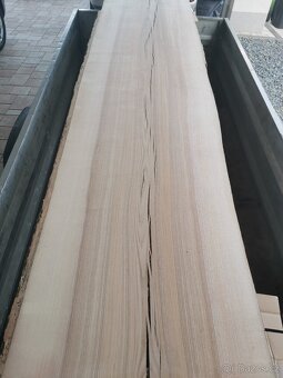 Široké jasanové fošny - 4