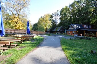 Prodej restaurace, 241 m, Dolní Lomná, okr. Frýdek-Místek - 4