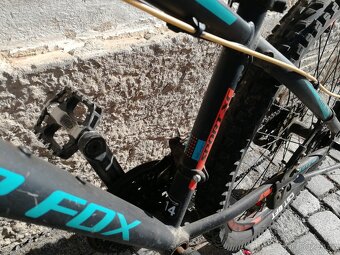 Leader Fox factor - 4