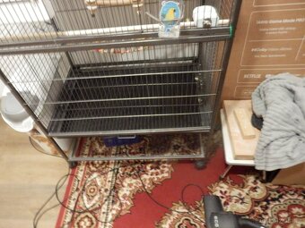 Klec pro papousky - 4