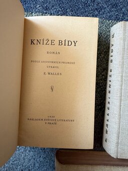 Kníže Bídy - E. Walles - 4