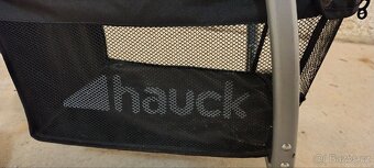 Golfky Hauck - 4